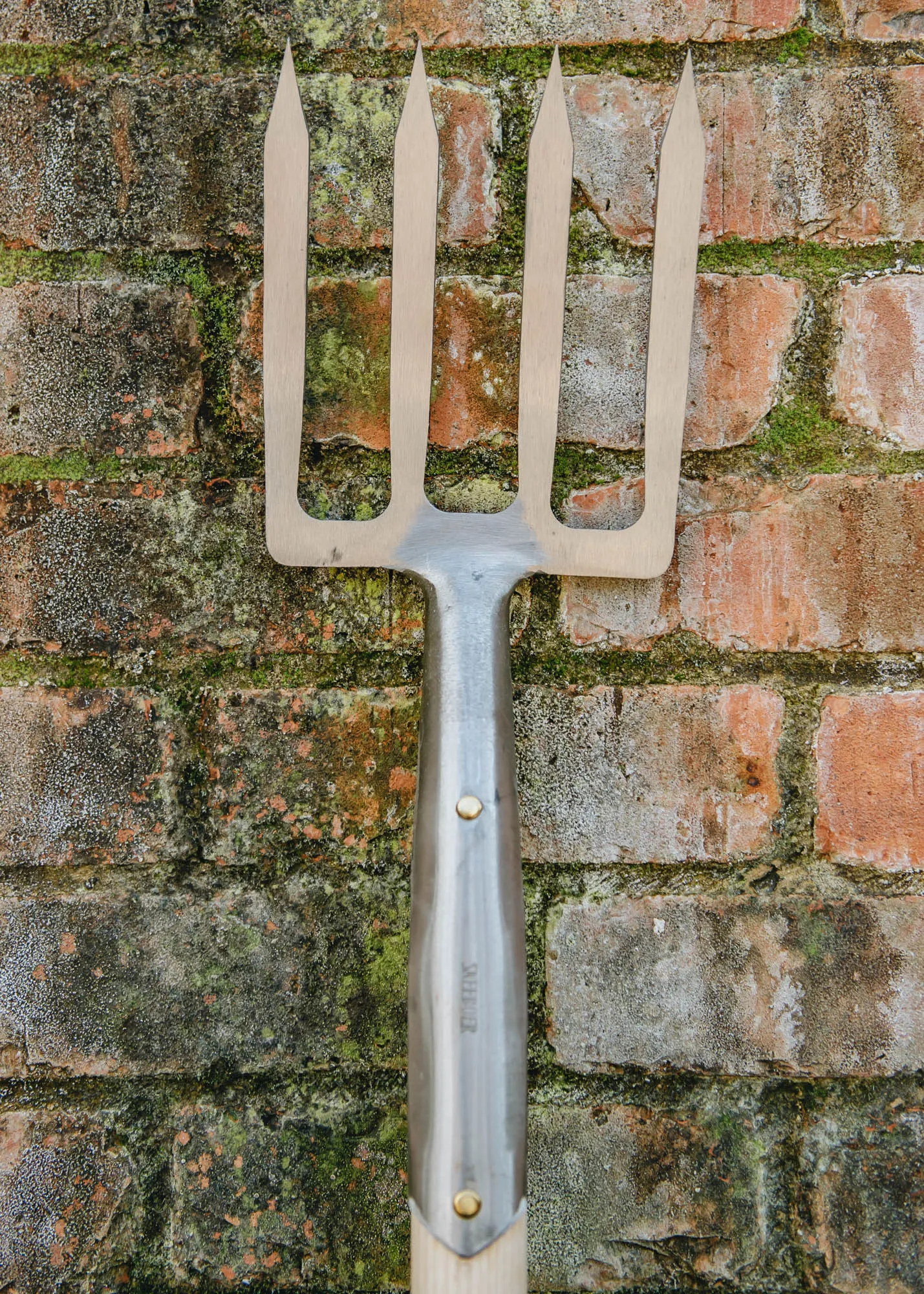 Border Fork