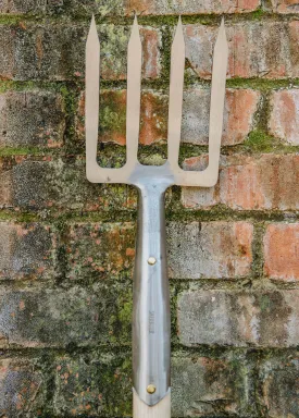 Border Fork