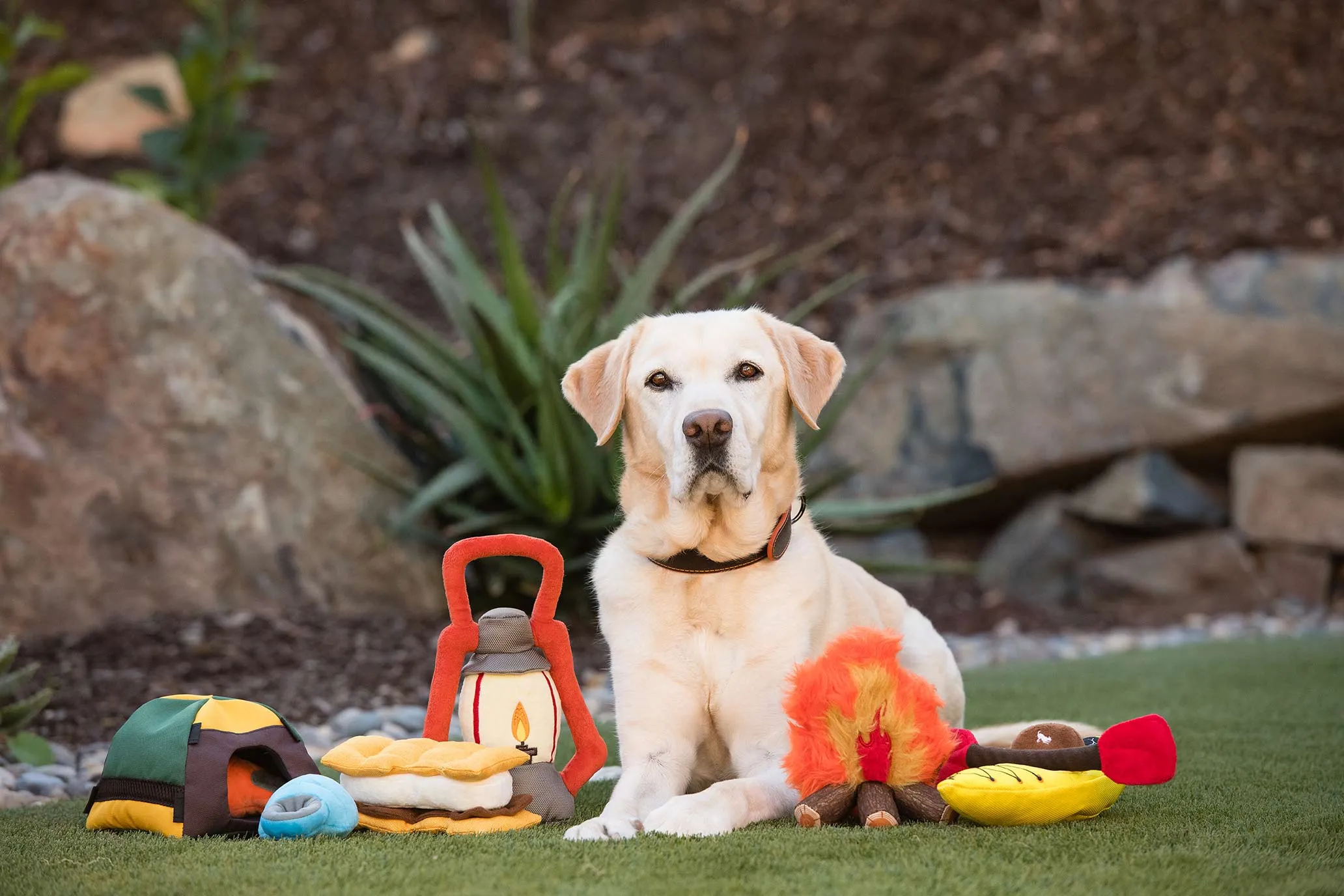 Camp Corbin Squeaky Plush Dog toys, Gimmie S'more