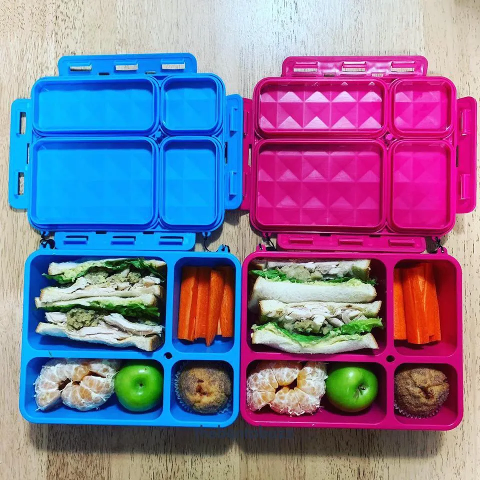 Go Green Lunch Box Bundle - Pink & Purple MEDIUM