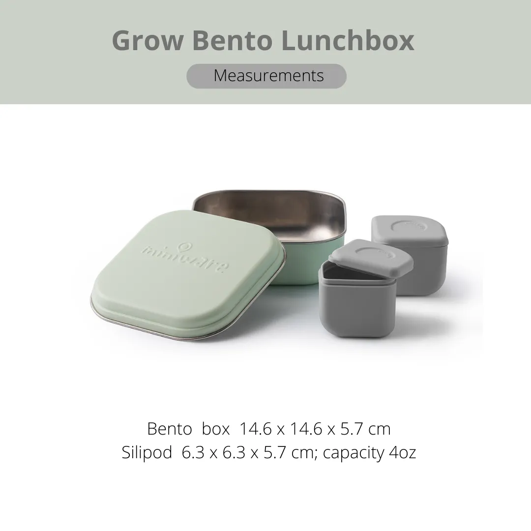 Grow Bento with 2 silipods Lunch Box-Key Lime/Grey