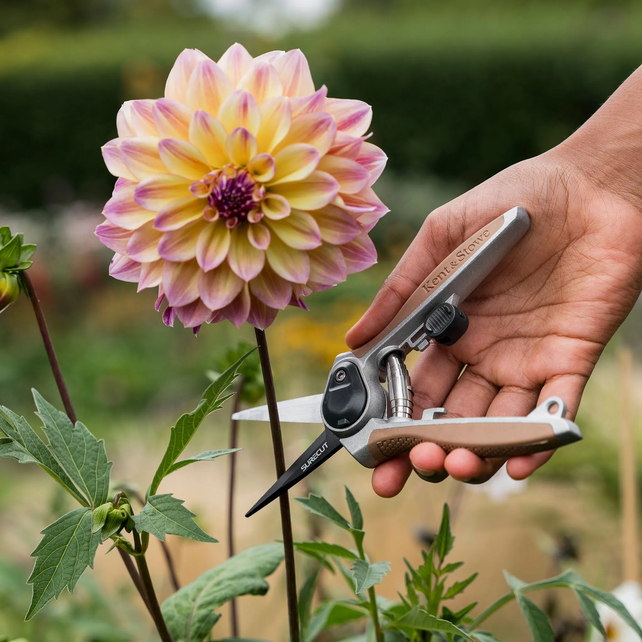 Kent & Stowe Garden Life Flower Snips