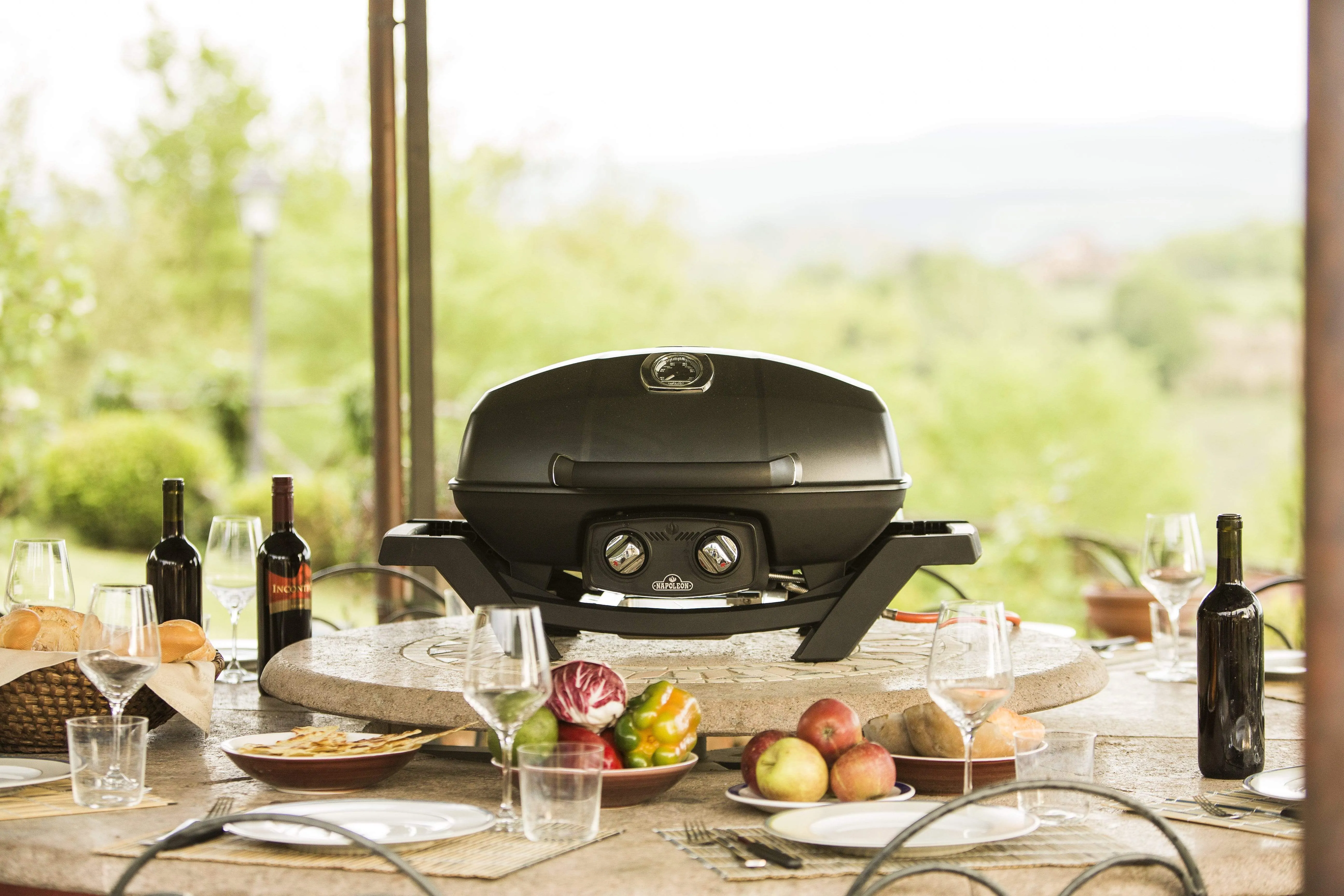 Napoleon TravelQ PRO 285 (Black) Portable BBQ PRO285