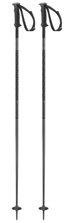 POLAR SKI POLES