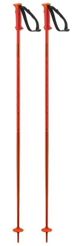 POLAR SKI POLES